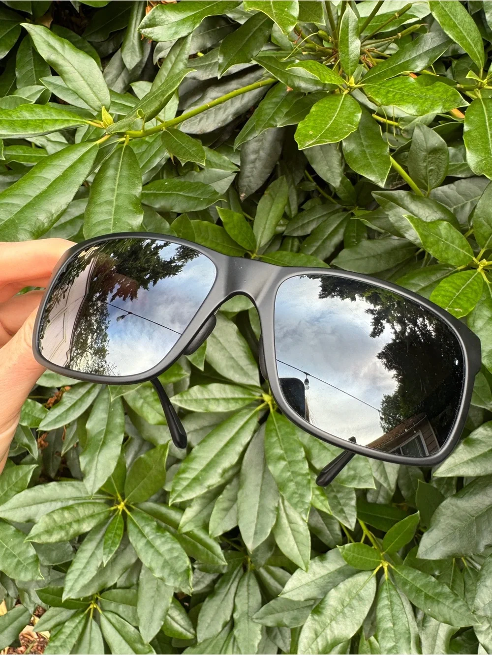 Polarized Maui Jim Sunglasses